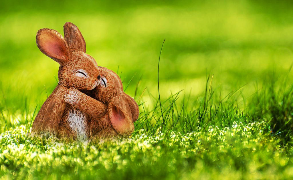 アロマ&フーレセラピー インフィールド