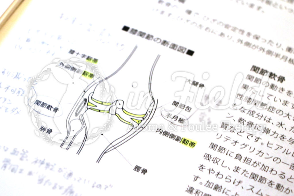 フーレセラピー勉強