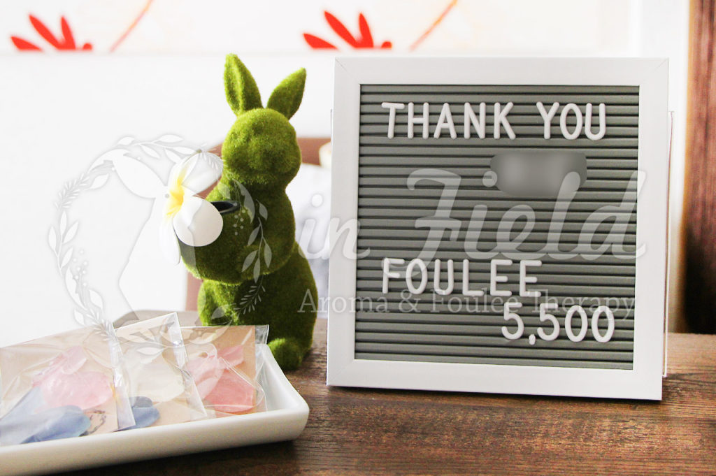 フーレセラピー感想