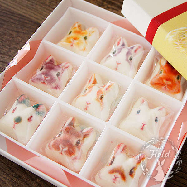 うさぎのほうずい