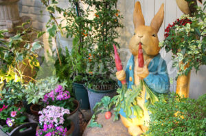 自由が丘ピーターラビットガーデンカフェ