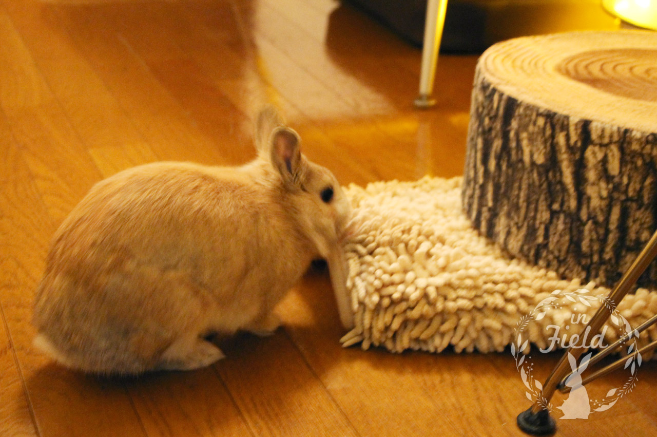 足踏みセラピー店長