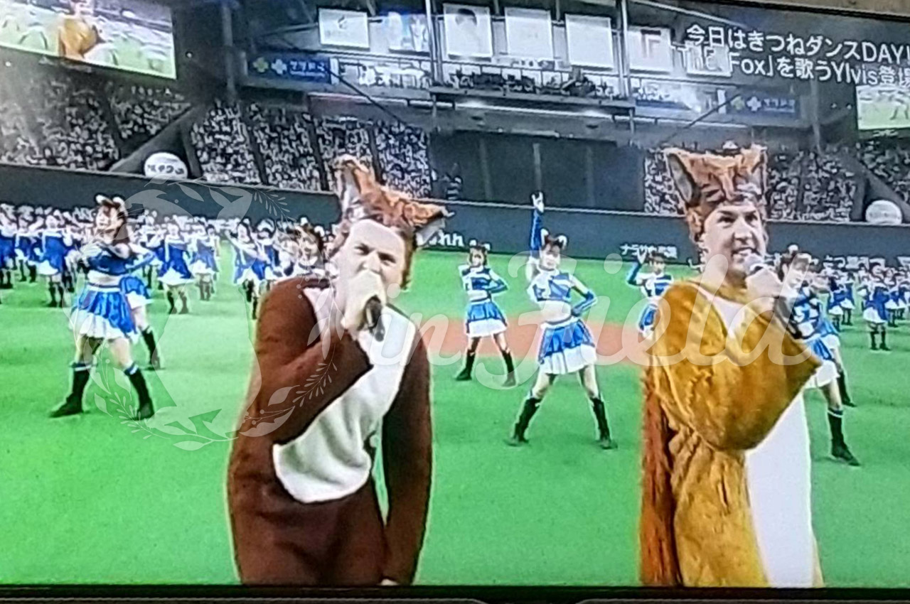 札幌ドーム観戦