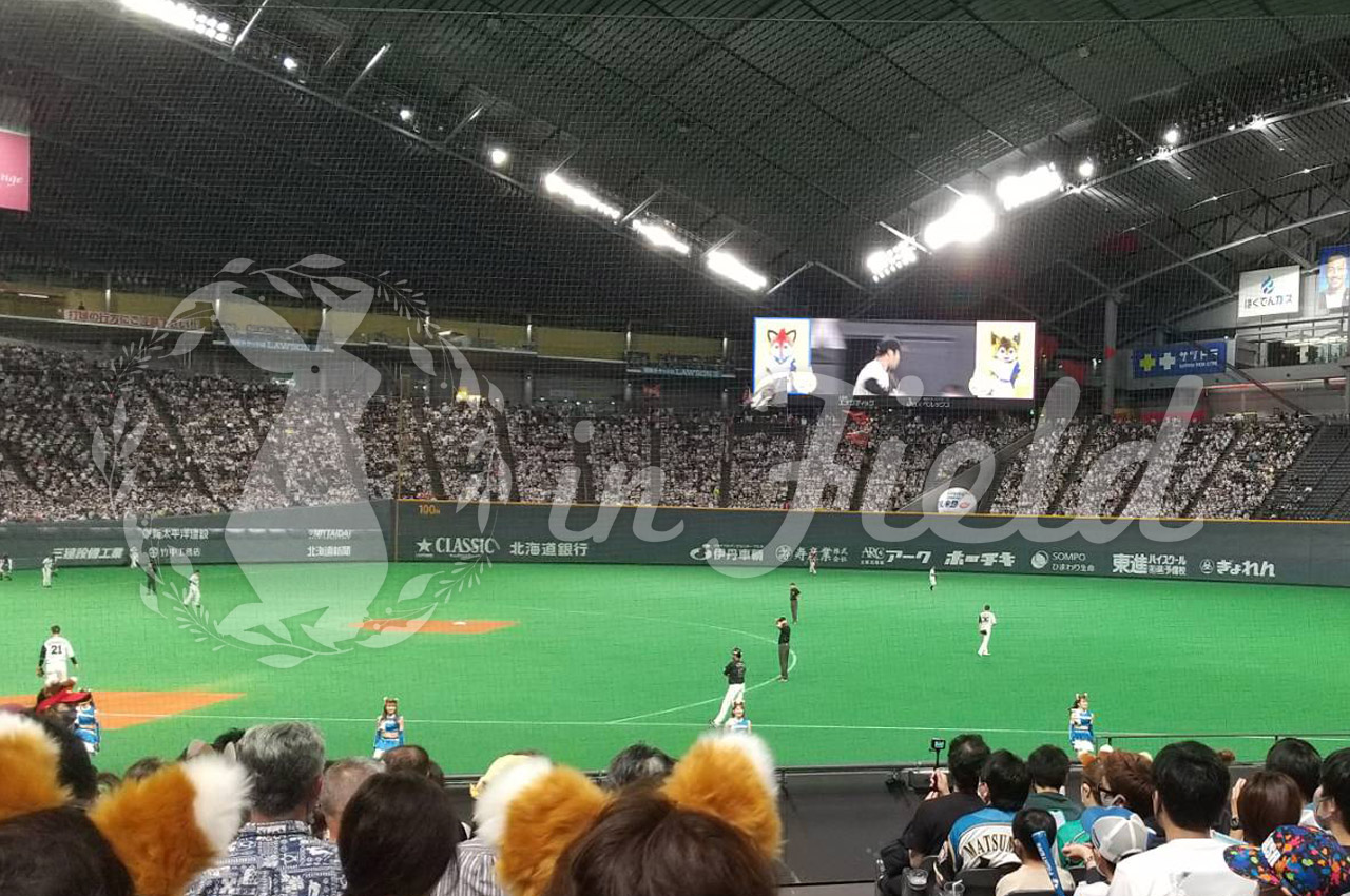 札幌ドーム観戦