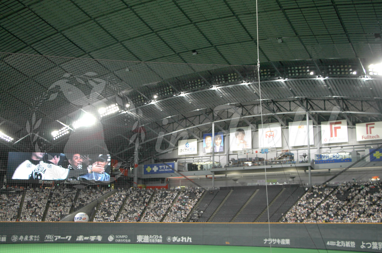 札幌ドーム観戦