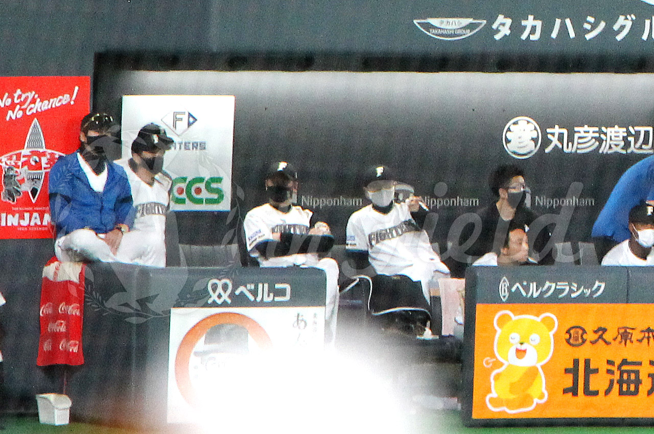 札幌ドーム観戦