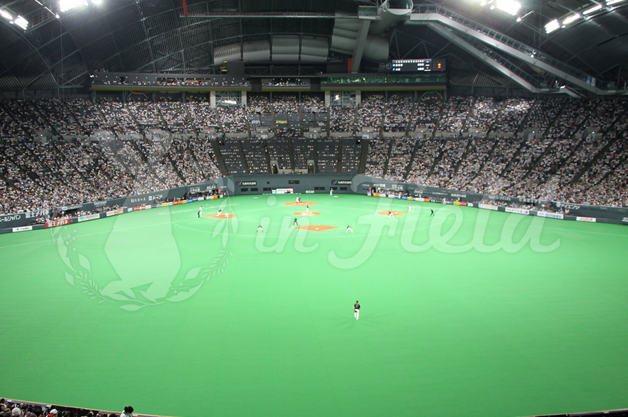 札幌ドーム観戦