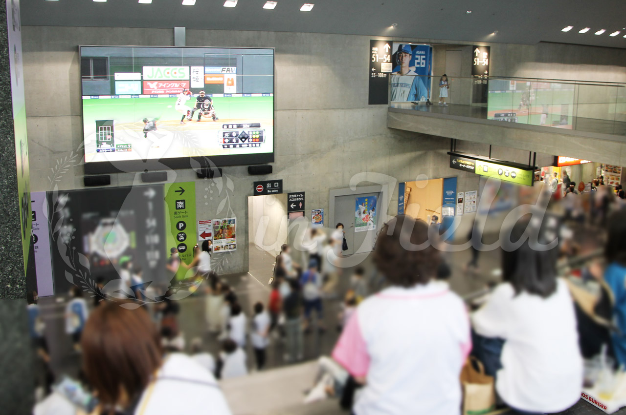 札幌ドーム観戦