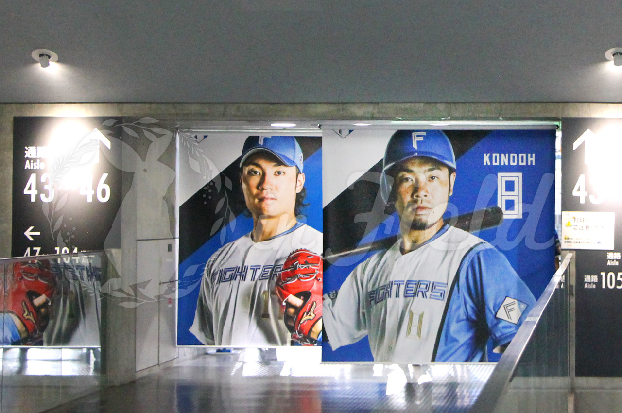 札幌ドーム観戦