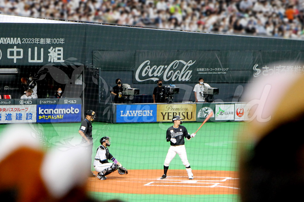 札幌ドーム観戦