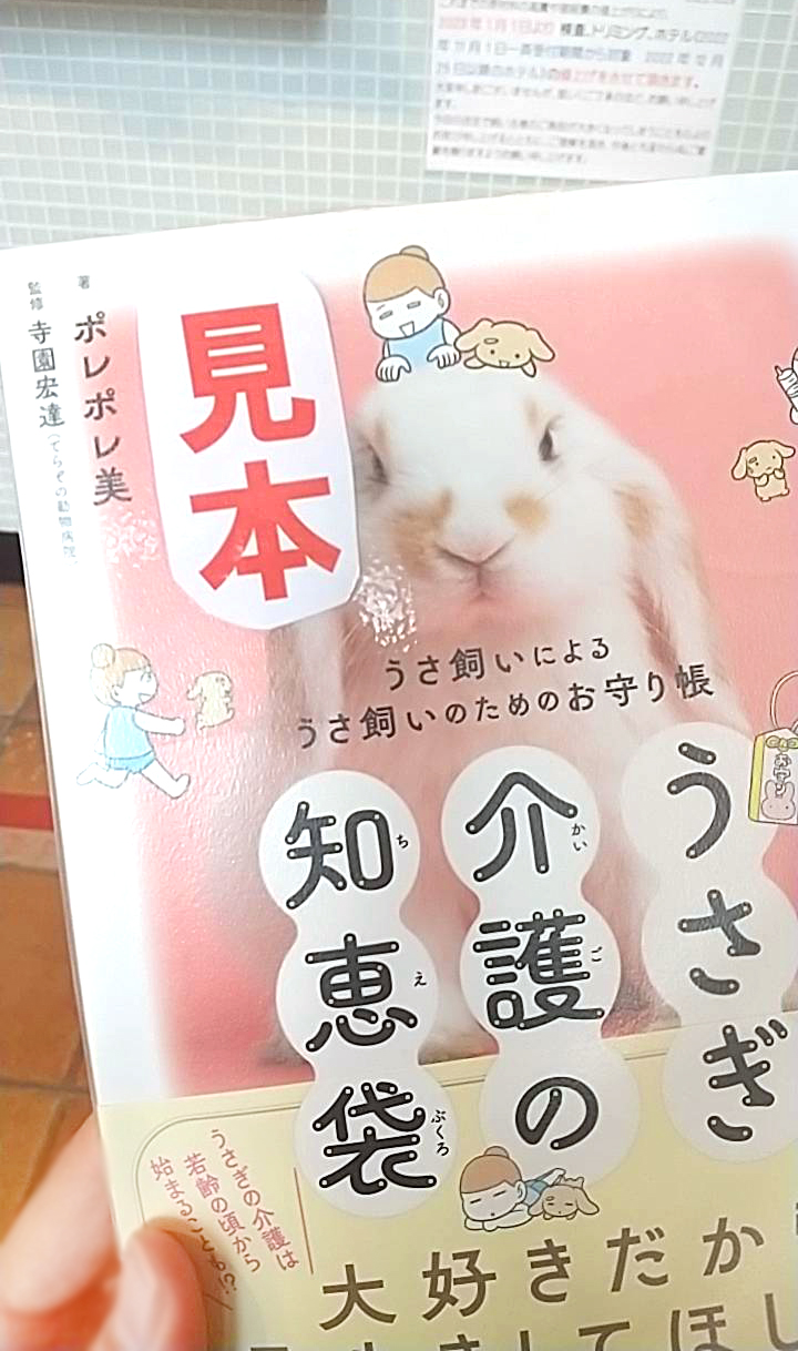 うさぎの介護