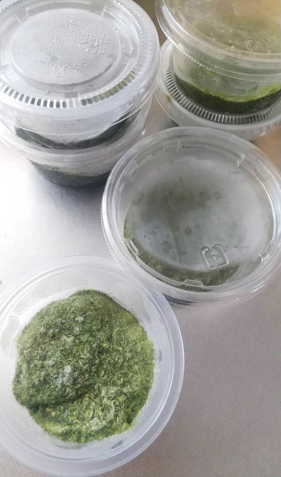 うさぎの強制給餌