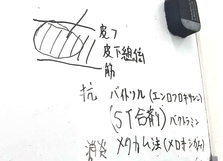 吉祥寺エキゾチック動物病院