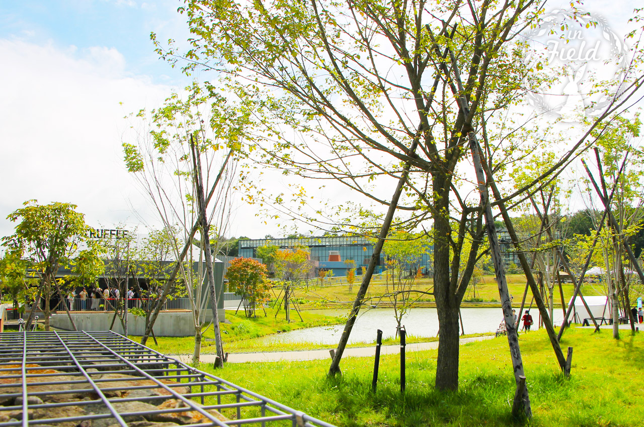 エスコンフィールド北海道