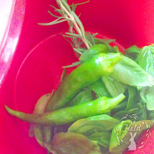 簡単松の実なしバジルソースレシピ