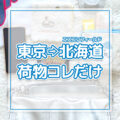 東京北海道日帰りひとり旅