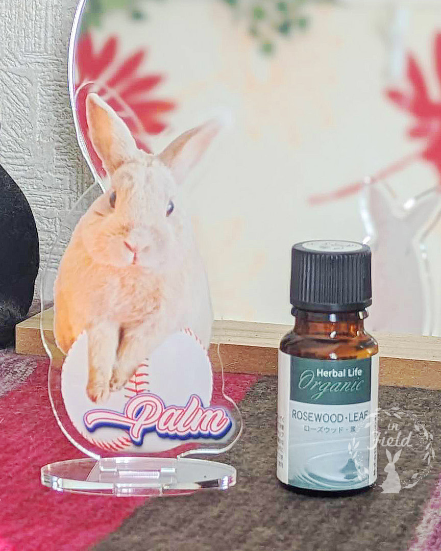 うさぎのアクリルスタンド