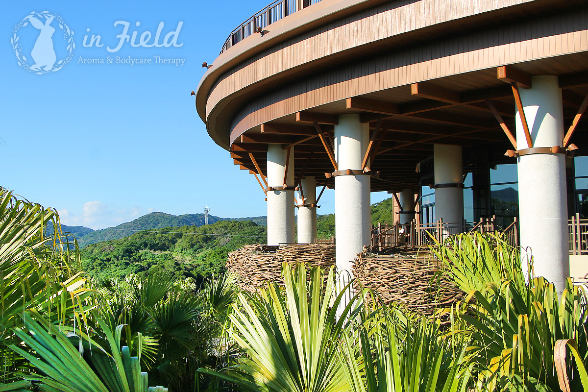 ジャングリア沖縄