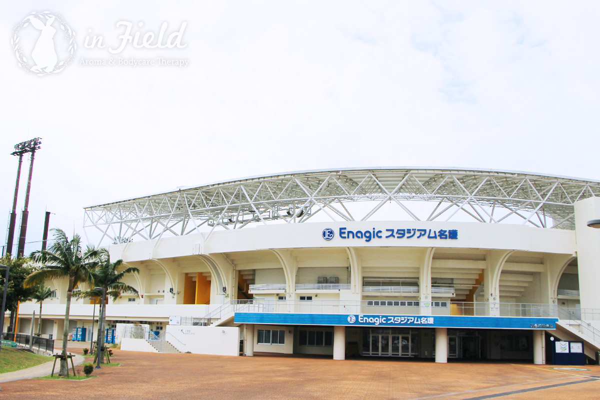 エナジックスタジアム名護