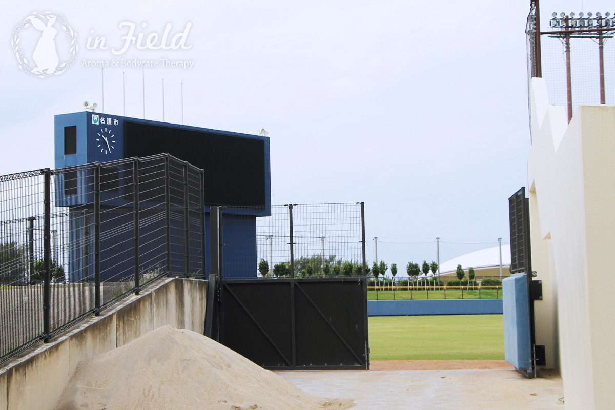 エナジックスタジアム名護