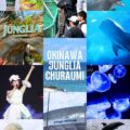 ジャングリア沖縄　ナイトフェス