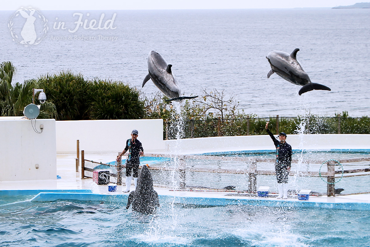 おきちゃん劇場