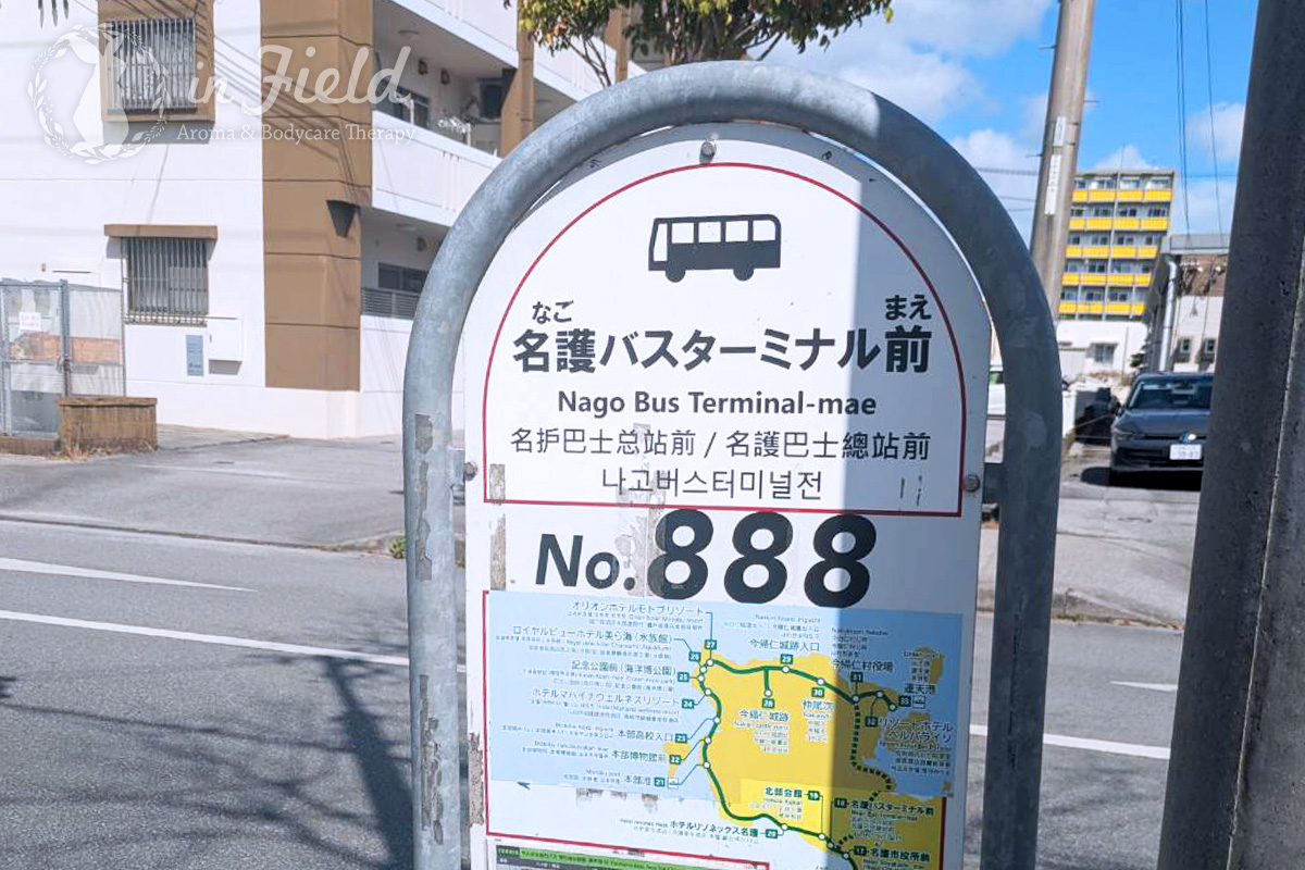 やんばる急行バス