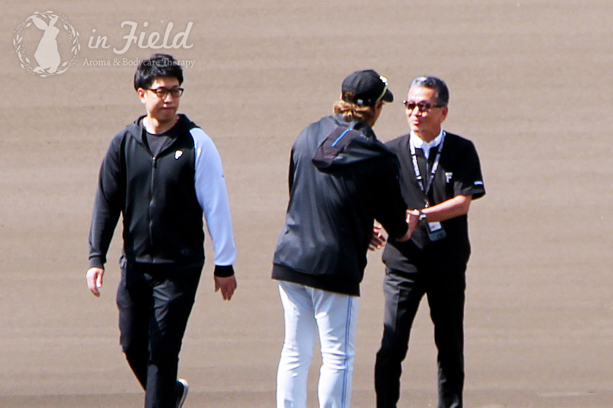 日ハムファイターズ名護キャンプ