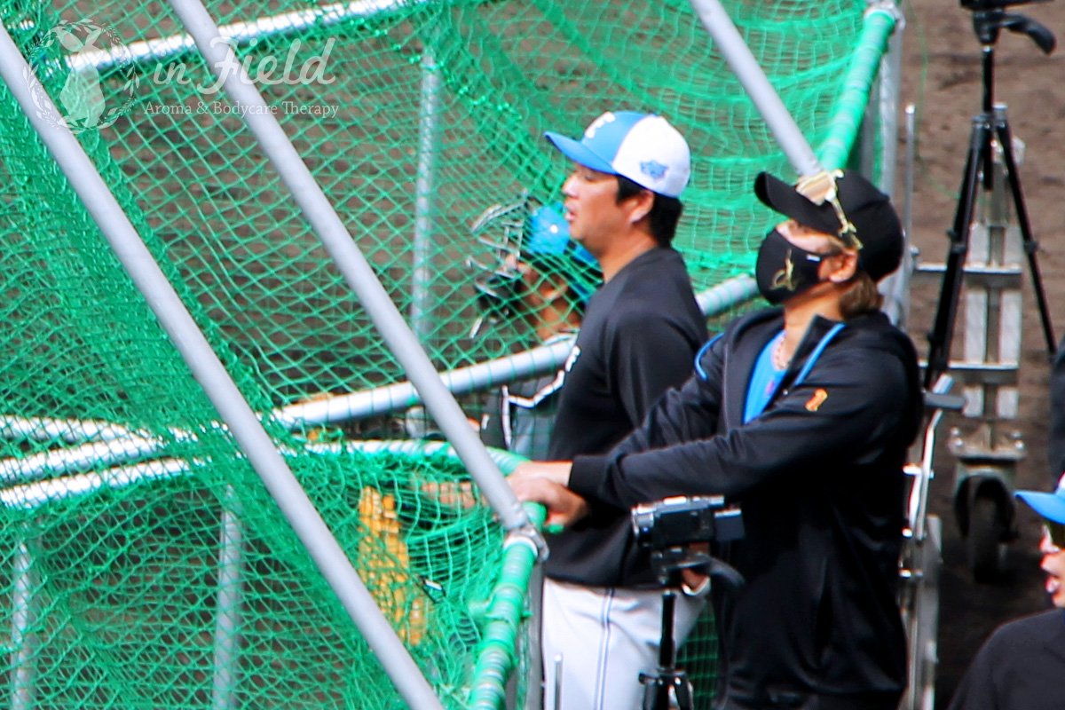 日ハムファイターズ名護キャンプ