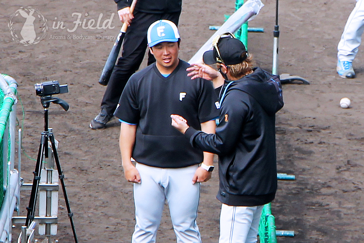 日ハムファイターズ名護キャンプ