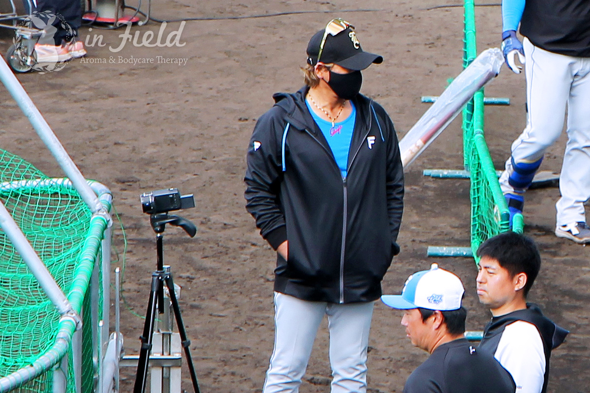 日ハムファイターズ名護キャンプ