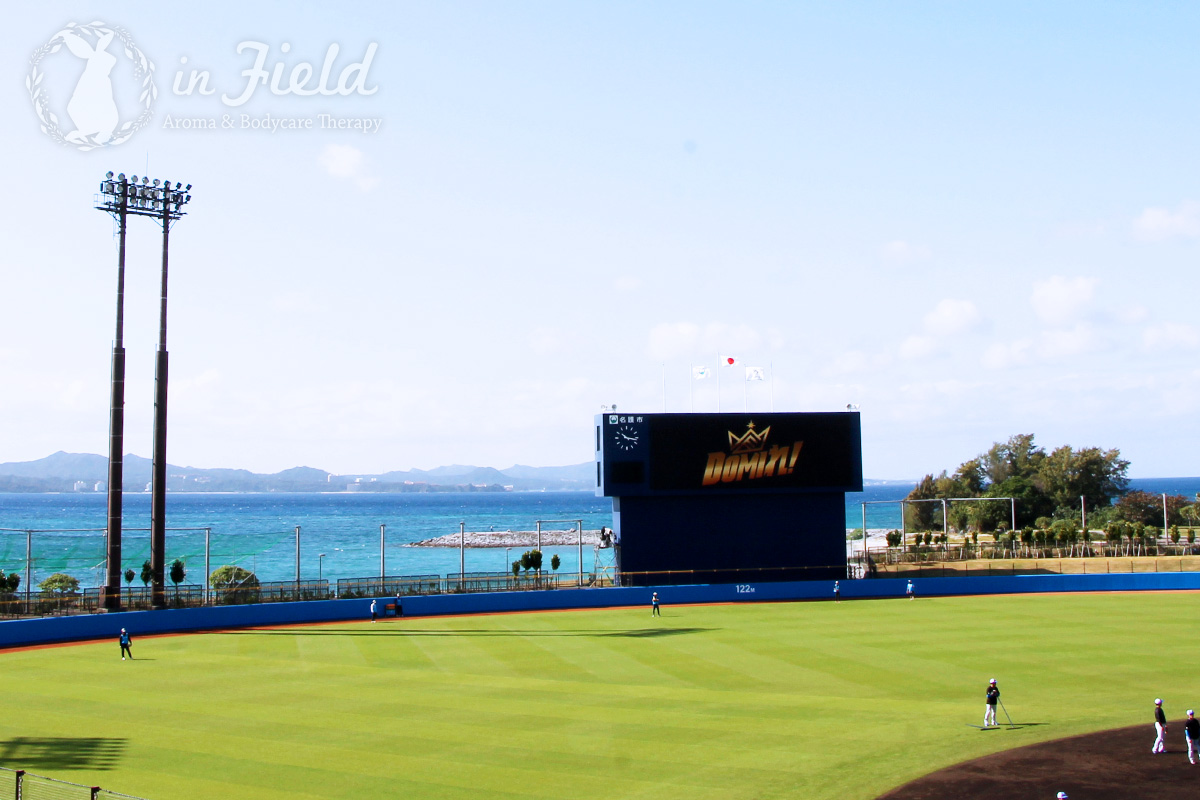日ハムファイターズ名護キャンプ