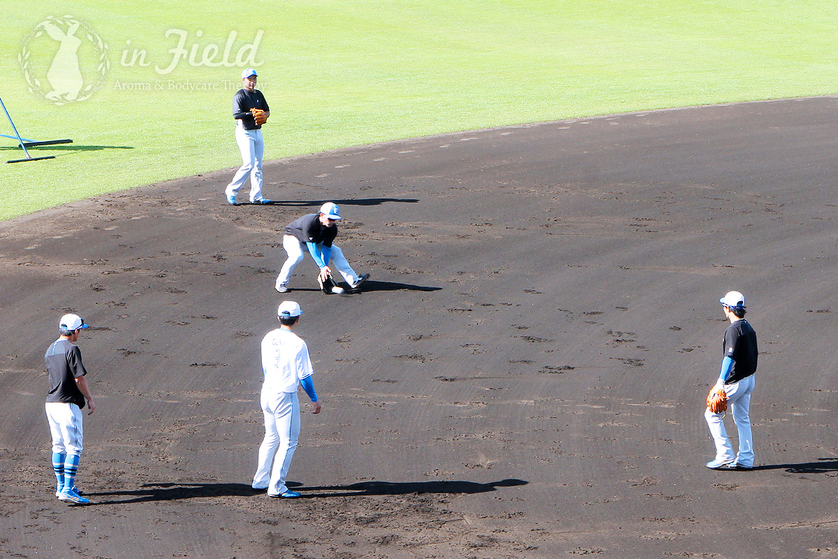 日ハムファイターズ名護キャンプ