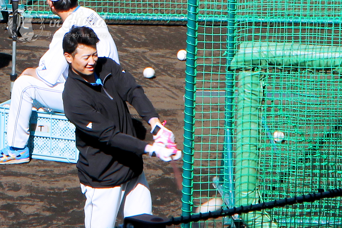 日ハムファイターズ名護キャンプ