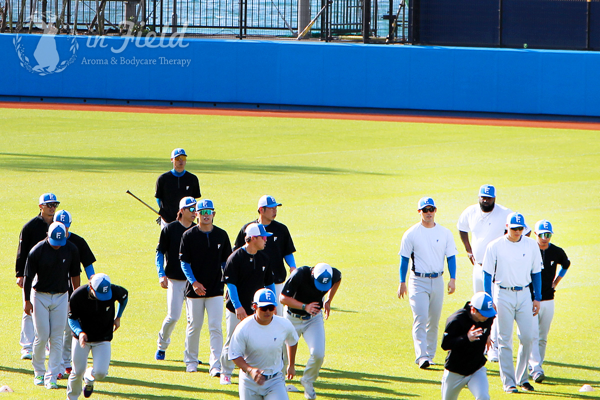 日ハムファイターズ名護キャンプ