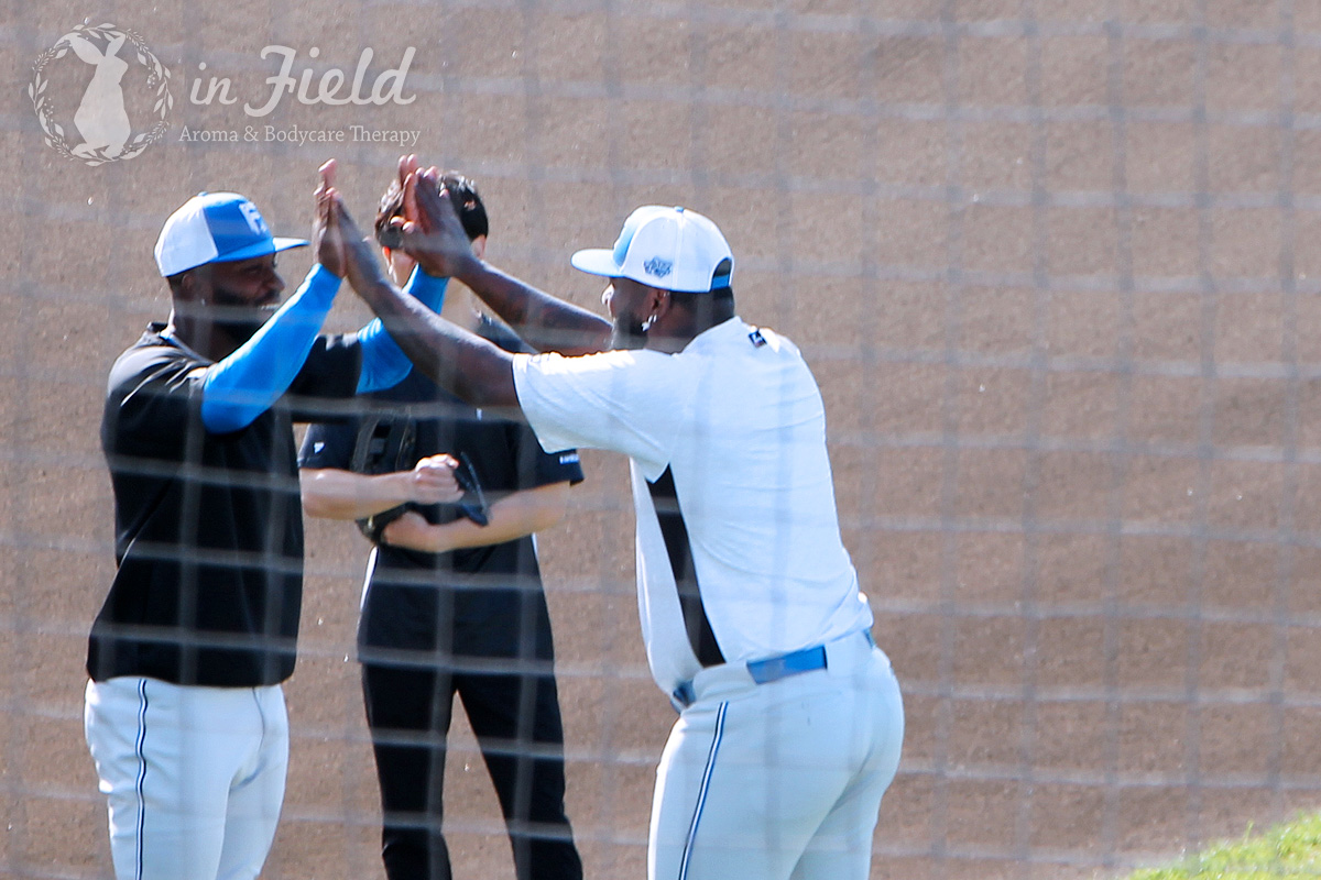 日ハムファイターズ名護キャンプ