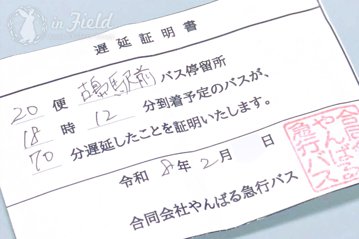 やんばる急行バス遅延証明書