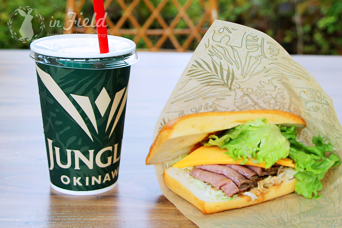 ジャングリア沖縄