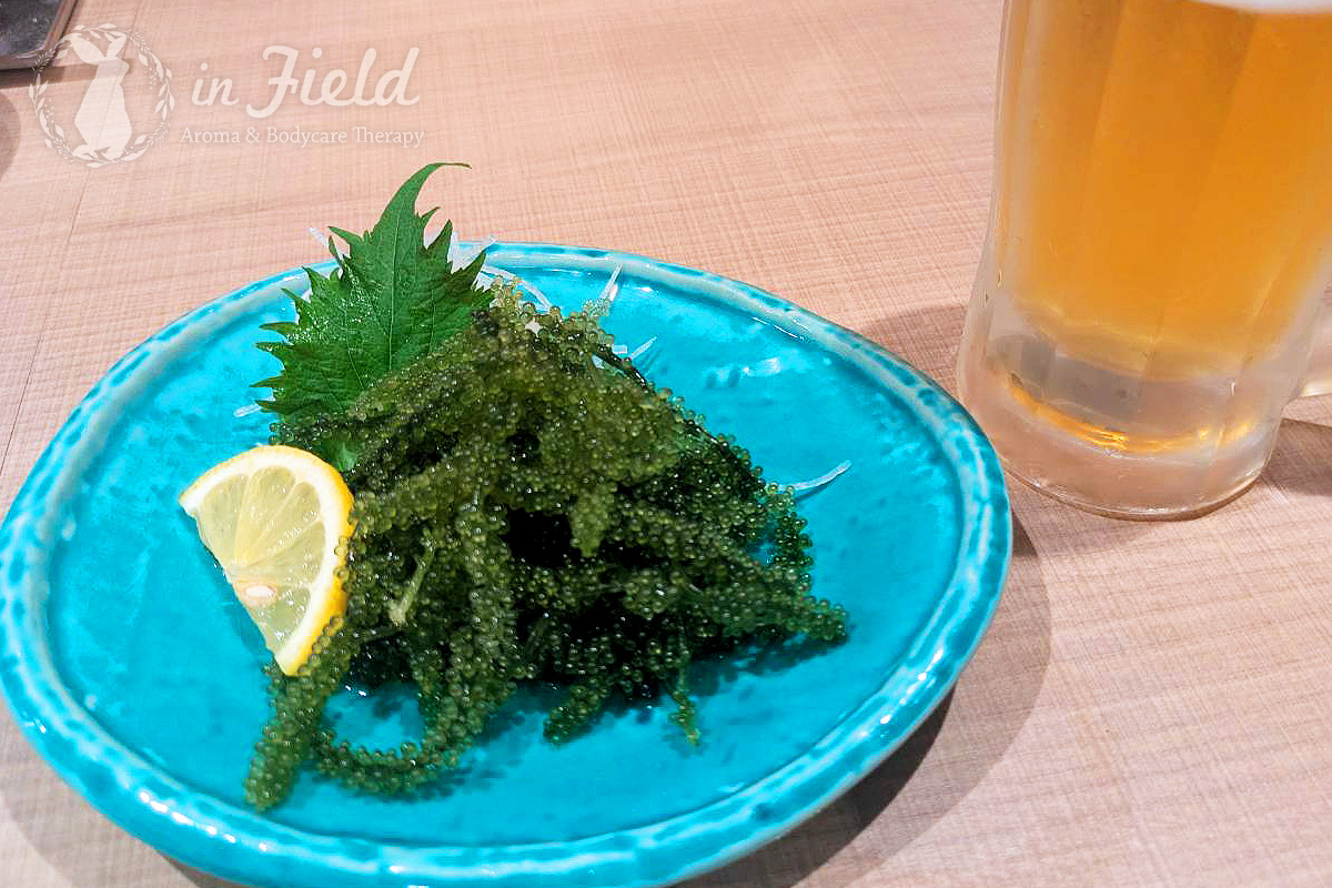 フェニックスパークホテル名護